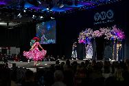 YWE 2025 Catwalk Show